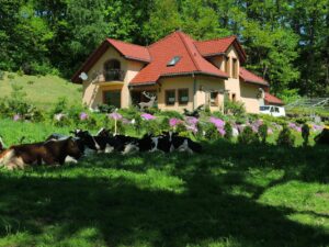 Noclegi hotel Biała Rawska park wodny pokoje