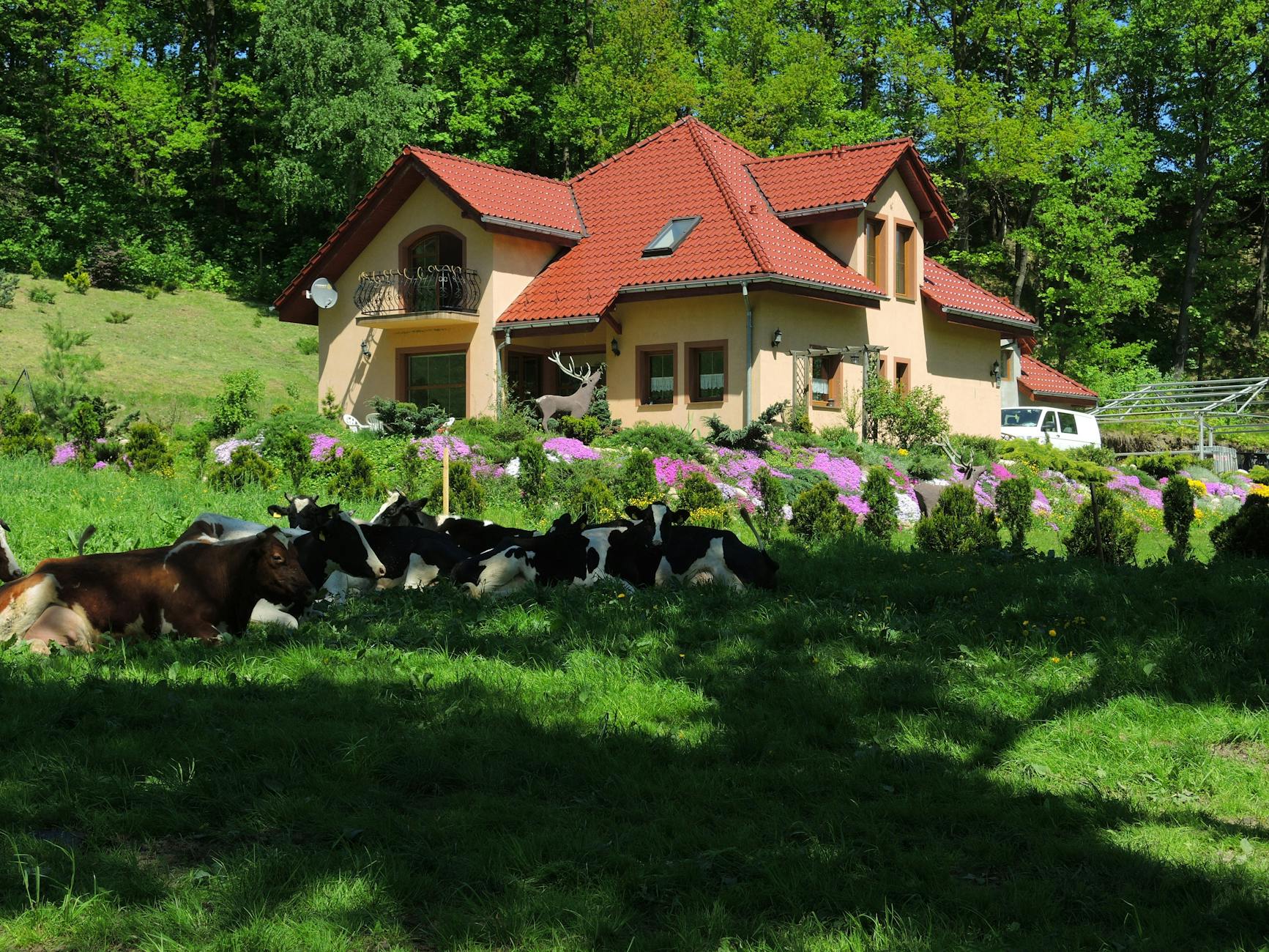 Noclegi hotel Biała Rawska park wodny pokoje
