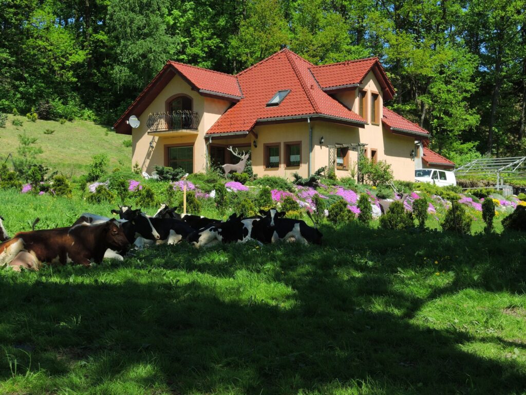 Noclegi Kozerki hotel przy parku wodnym